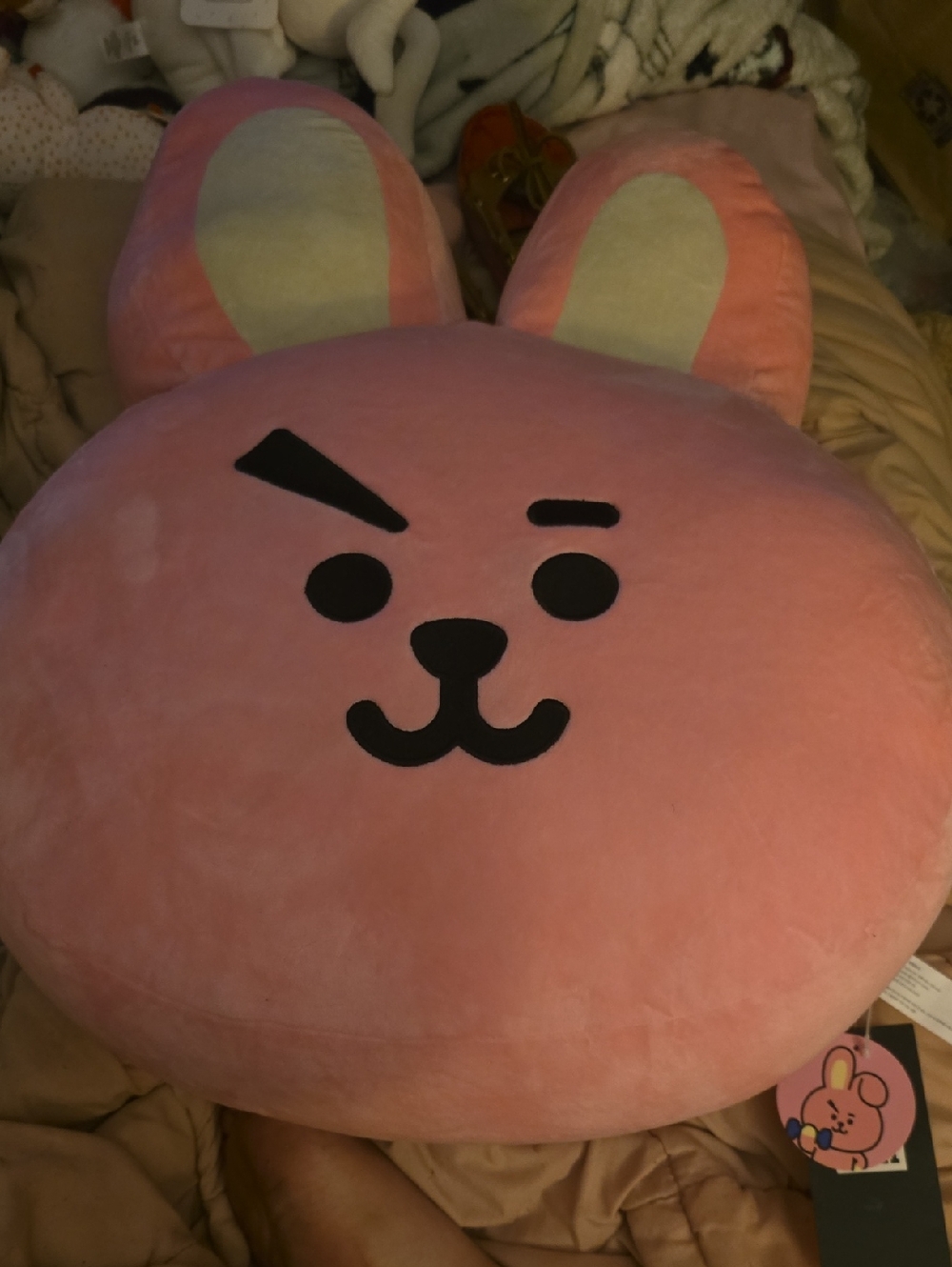 BT21 Large Cooky Plush Pillow
